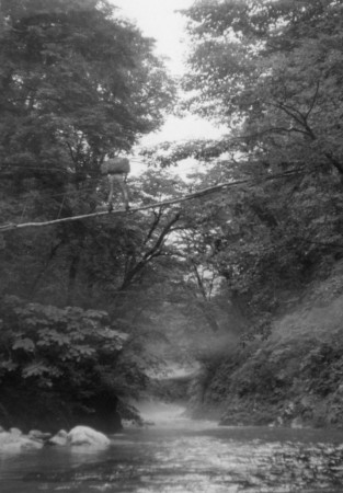 丸太の吊橋