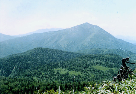 至仏山