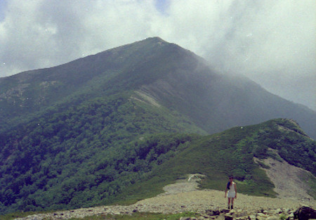 蝙蝠岳