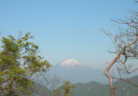 蛭ヶ岳の下りで富士山