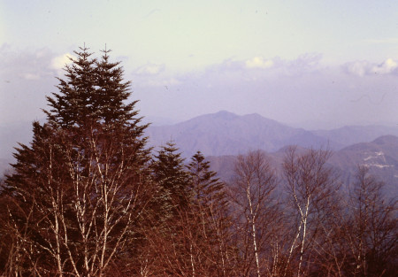 展望、金峰山