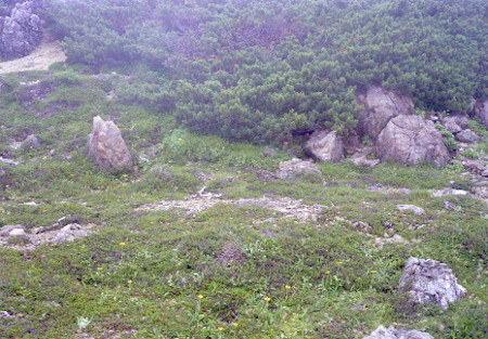 聖岳と奧聖岳鞍部