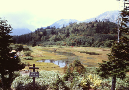高谷池