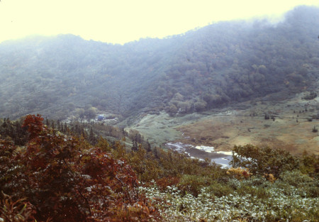 黒沢池