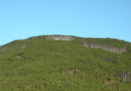 縞枯山