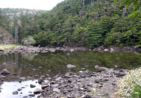 亀甲池