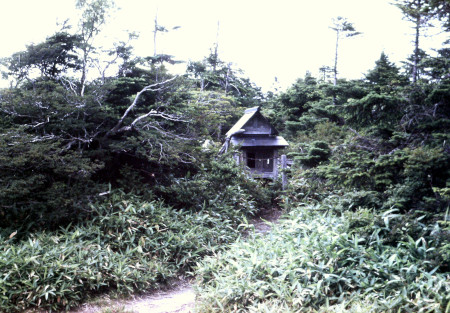 山頂の祠