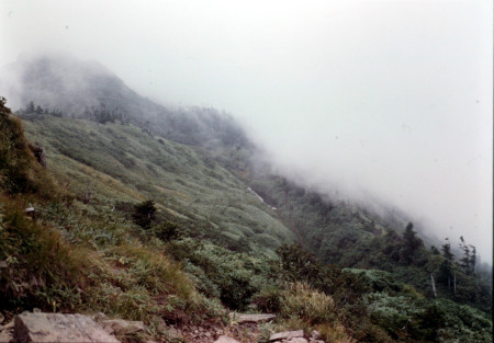 山頂付近