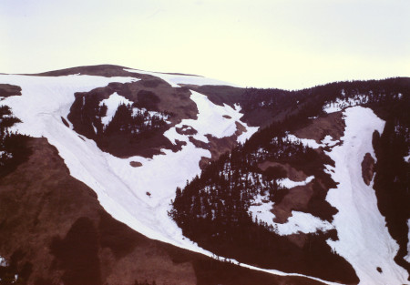 米子沢の雪渓