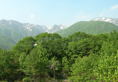 山小屋より巻機山を見る