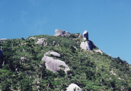 宮ノ浦岳山腹