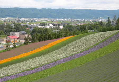 幌尻岳山頂標識