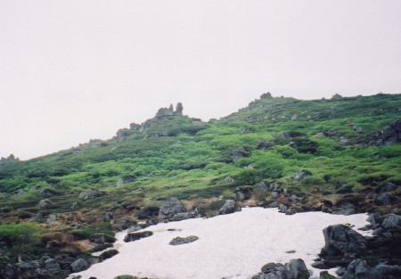 南沼分岐